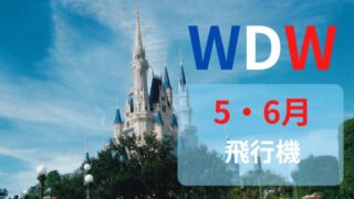 5月6月｜WDWへの飛行機代はいくら？新婚旅行でフロリダに行こう｜2025