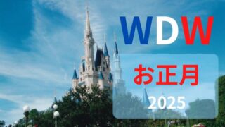 【WDW】お正月をフロリダ：ディズニーワールドですごす方法｜安い航空券はこの日を選べ！2025