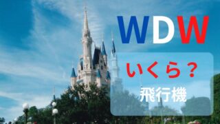 【航空券】WDWへの飛行機代が安い時期！365日すべて調べた結果は？