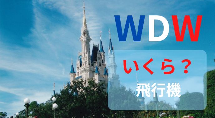 【航空券】WDWへの飛行機代が安い時期！365日すべて調べた結果は？